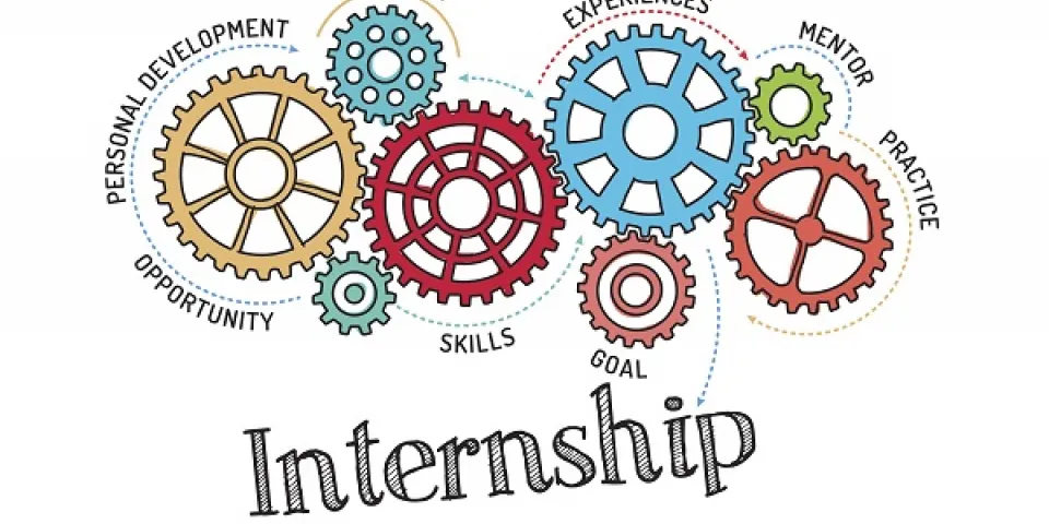 برنامج التدريب الداخلي (internship)